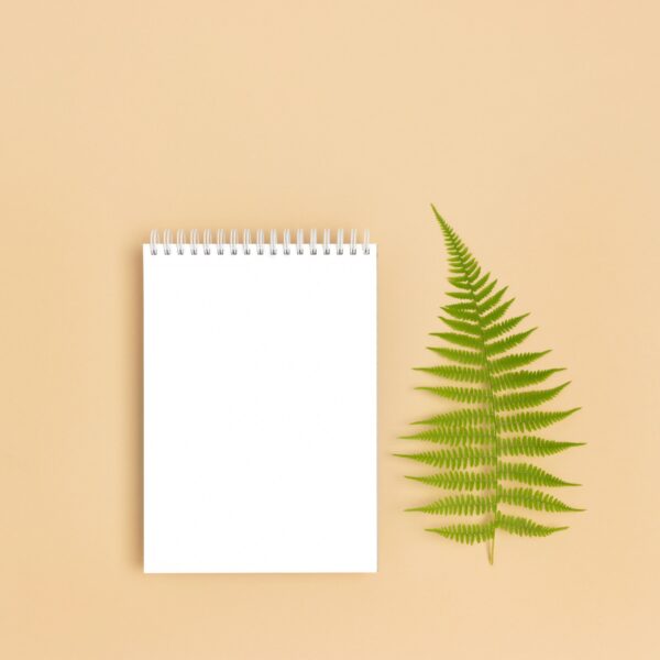 Notebook mock up with green fern leaf on a beige baclground.